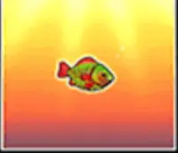 Kleiner Fisch