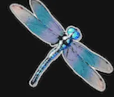 Libelle